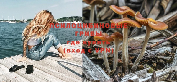 спиды Абдулино