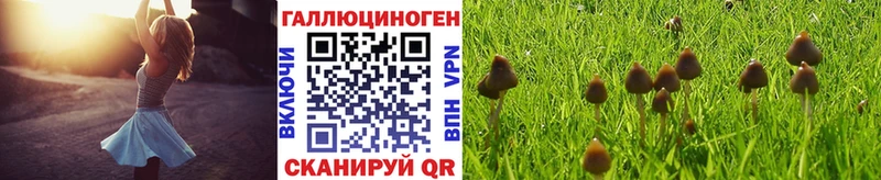 Галлюциногенные грибы MAGIC MUSHROOMS  Дивногорск 