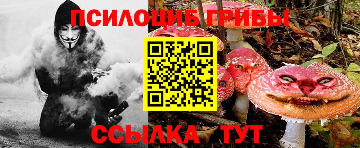 Дивногорск  Псилоцибиновые грибы ЛСД  Вход с VPN 